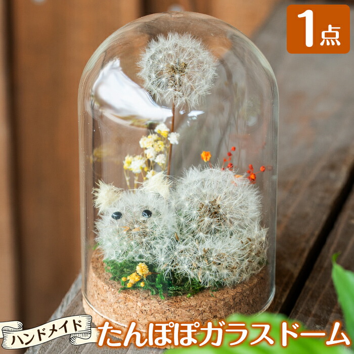 ふるさと納税 たんぽぽギヤマン穹窿 たんぽぽ猫 1チョボ 蒲公英やかすみ草書のドライフラワーで作ったキャット動機の手アマ曲 かわいち国分 Mattschofield Com