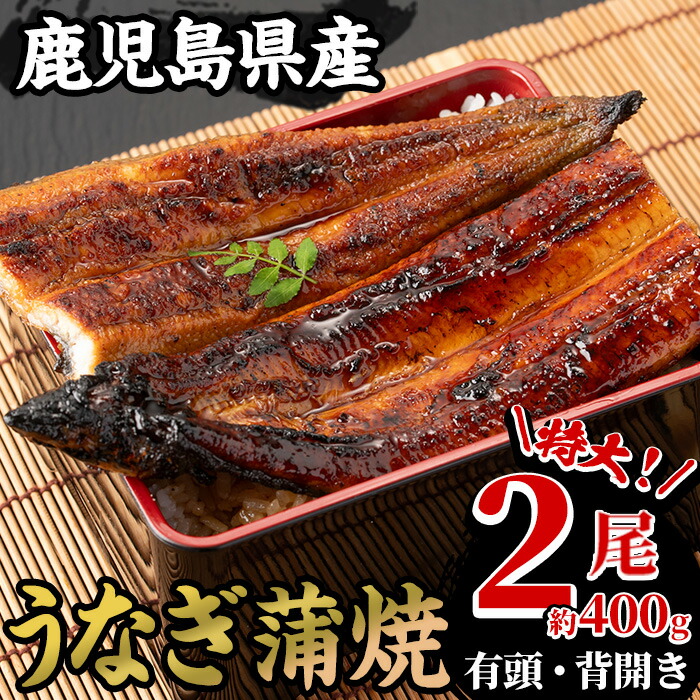 【ふるさと納税】＜期間・数量限定＞国産うなぎ(鹿児島県産うなぎ)蒲焼(特大サイズ2尾・約400g) 国産 国産魚 九州産 鹿児島県産 魚 魚介 鰻 うなぎ ウナギ 蒲焼 蒲焼き 惣菜 冷凍【南竹鰻加工】