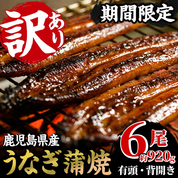 【ふるさと納税】＜訳あり・期間限定＞国産うなぎ(鹿児島県産うなぎ)蒲焼(6尾・計約920g) 国産 国産魚 九州産 鹿児島県産 魚 魚介 魚介類 鰻 うなぎ ウナギ unagi 蒲焼き 訳アリ 規格外 限定 惣菜 冷凍【南竹鰻加工】