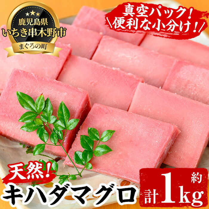 【ふるさと納税】天然キハダマグロ(約1kg) 柵でお届け！肉厚のお刺身や海鮮丼に！まぐろ 鮪 魚介 刺し身 【海鮮まぐろ家】