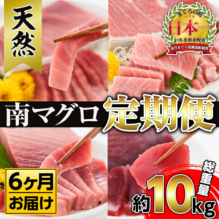 楽天市場 ふるさと納税 定期便 南マグロ丸ごと1本 約4 6kgセット 6ヶ月 希少な南まぐろ の刺身用柵 大トロ 上トロ 中トロ 赤身 を毎月お届け 高級料亭や高級寿司店等で利用される幻の鮪 新洋水産 鹿児島県いちき串木野市