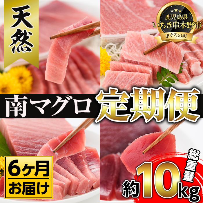 ふるさと納税 定期便 希少な南まぐろの大トロ 上トロ 8本セット 6ヶ月 赤身を毎月お届け 南マグロ刺身用柵 中トロ