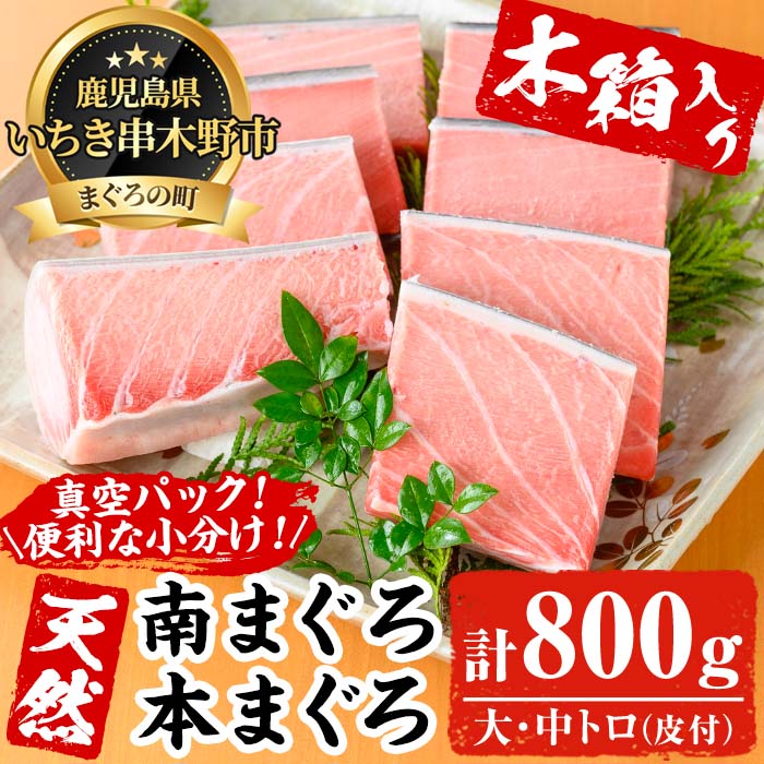 【ふるさと納税】《木箱入り》究極の天然高級南マグロ・本マグロ (大トロ・中トロ)セット(各約200g・合計800g超) まぐろ 鮪 本まぐろ 南まぐろ 魚介 海鮮 ギフト【海鮮まぐろ家】
