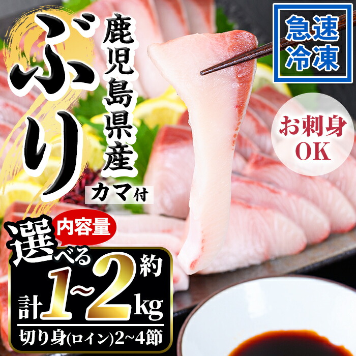 【楽天市場】【ふるさと納税】<先行予約受付中!>《内容量が選べる》鹿児島県産 冷凍ぶり(ロイン2~4節入・計1~2kg前後/カマ付) 国産 九州産 鹿児島産 魚 鰤 ブリ ぶり ハマチ はまち 刺身 海鮮丼 漬け丼 ブリ大根 ぶりしゃぶ しゃぶしゃぶ 鍋 カマ ロイン 切身 冷凍【全栄フーズ】:鹿児島県いちき串木野市