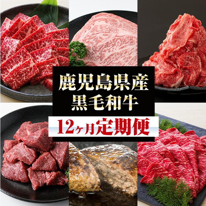 【ふるさと納税】＜定期便・全12回＞黒毛和牛づくし12ヶ月定期便！黒毛和牛 牛肉 サーロインステーキ ロース ヒレ 赤身 サイコロ 切り落とし ハンバーグ もつ鍋 すき焼き 丸腸 ホルモン 煮込み 1年間 コンシェルジュ 【バクロ】