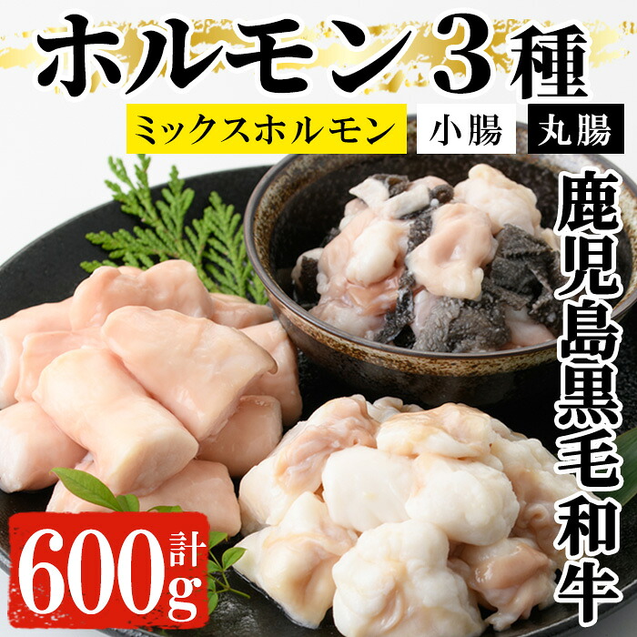 【ふるさと納税】黒毛和牛ホルモン3種盛り合わせ(計600g)！小腸 丸腸 ミックスホルモン 鹿児島県産 牛 牛肉 内臓 ホルモン 肉 国産 九州 焼肉 バーベキュー もつ鍋 ホルモン焼 炒め物 和牛 おかず 冷凍【バクロ】｜鹿児島県いちき串木野市