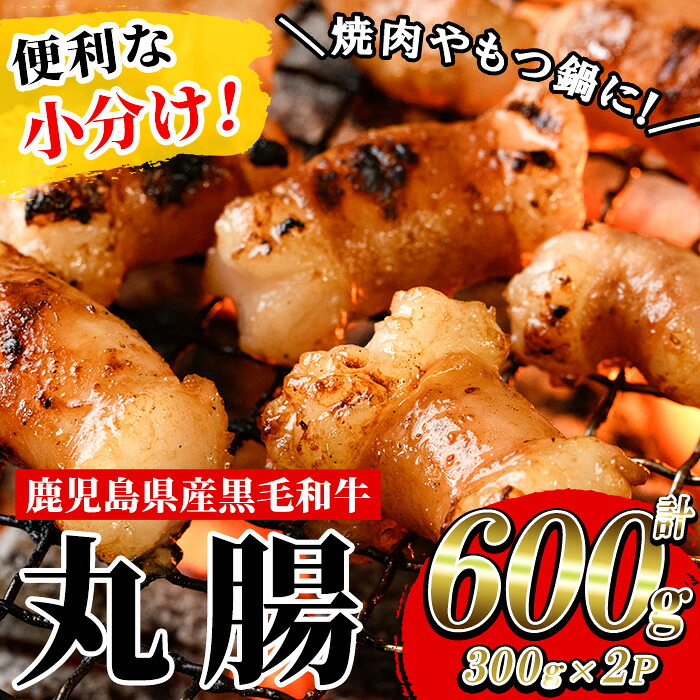 【ふるさと納税】≪小分けタイプ≫鹿児島県産黒毛和牛 丸腸 (計600g・300g×2P) 冷凍 まるちょう ホルモン もつ鍋 焼肉 牛肉 肉 もつ モツ 内臓 国産牛 黒毛和牛 モツ鍋 もつなべ 九州 国産 小分け こわけ 便利 ギフト【バクロ】
