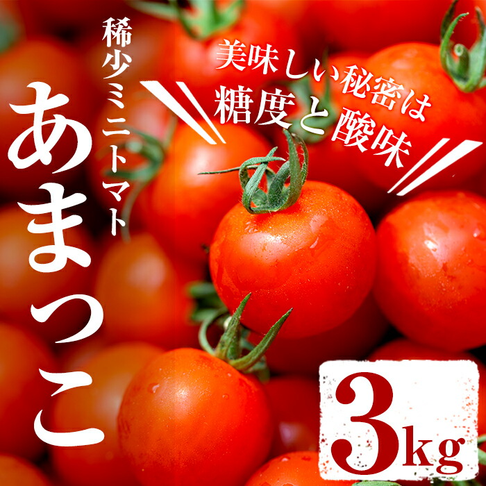 楽天市場 ふるさと納税 獲れたて 希少ミニトマト あまっこ 約3kg 新鮮な獲れたての酸味と糖度のバランスを大切にしたプチトマト オリザ鹿児島ファーム 株 鹿児島県いちき串木野市