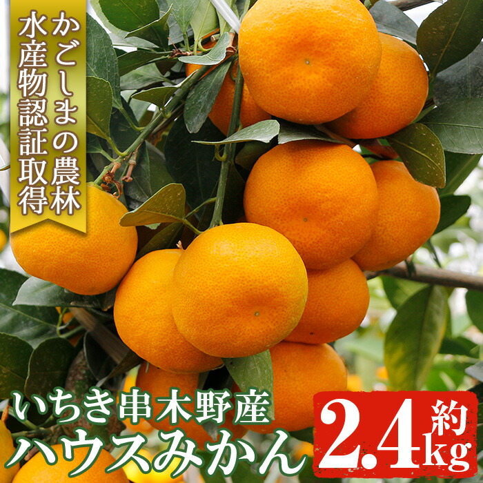 【ふるさと納税】＜先行予約受付中！2025年7月上旬より発送予定＞安心安全！JAさつま日置産ハウスみかん(約2.4kg化粧箱×1箱) 国産 九州産 鹿児島県産 ハウスみかん ミカン みかん 蜜柑 柑橘 果物 果実 フルーツ 旬 デザート 安心 安全 予約【JAさつま日置北部営農センター】
