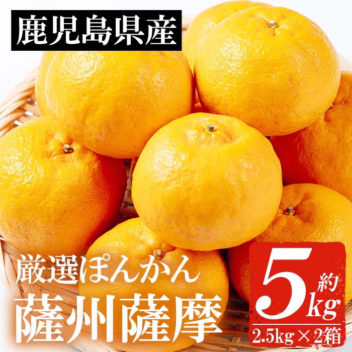 楽天市場】【ふるさと納税】＜先行予約受付中！2026年1月中旬頃より