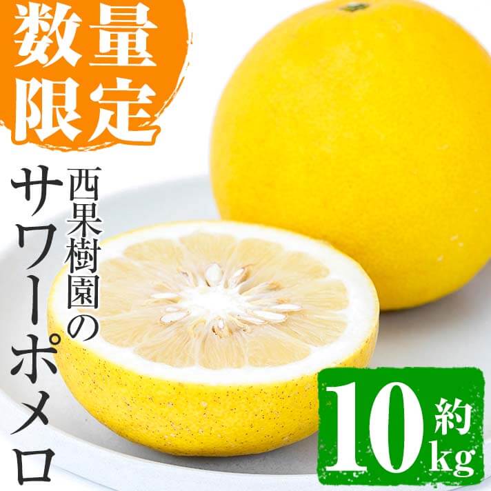 （鹿児島特産品）もふもふ サワーポメロ4L〜5Lサ箱満杯詰 いちき串木野市 鹿児島特産品）もふもふ様専用 サワーポメロ4L〜5Lサ箱満杯詰 いちき串木野
