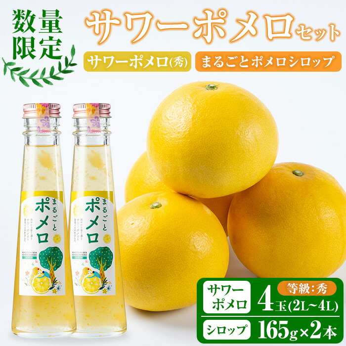 楽天市場】【ふるさと納税】＜先行予約受付中！2026年2月中旬頃より