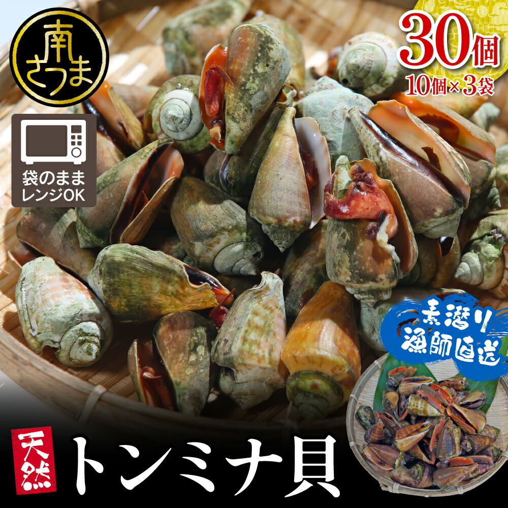 楽天市場】ワクトフーズ 高知県産 マガキガイ 1kg チャンバラ貝