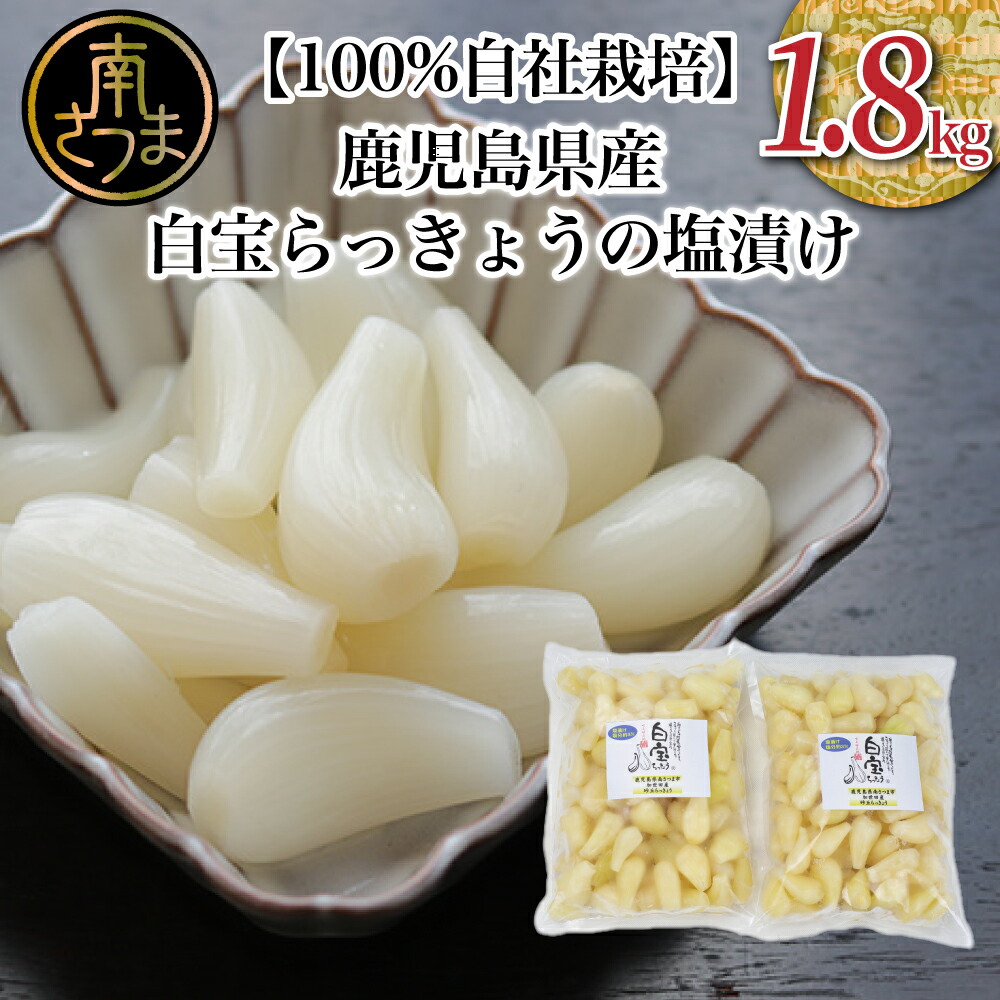 楽天市場】【ふるさと納税】鹿児島県産塩らっきょう1.4kg (140g×10