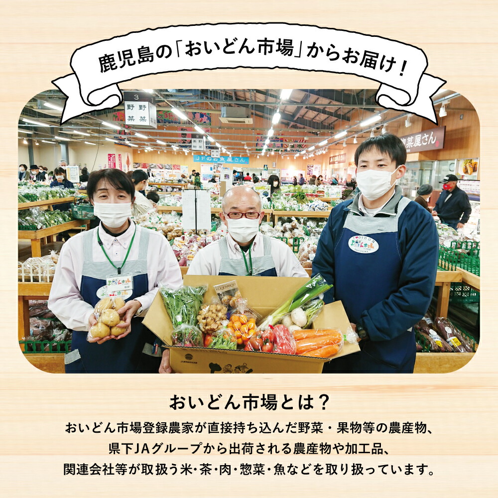 上質 旬鮮 野菜 果物 セット 12〜14品目 お野菜 九州 野菜BOX 詰合せ 詰め合わせ 旬 定期便 JA鹿児島県経済連 南さつま市 送料無料  fucoa.cl