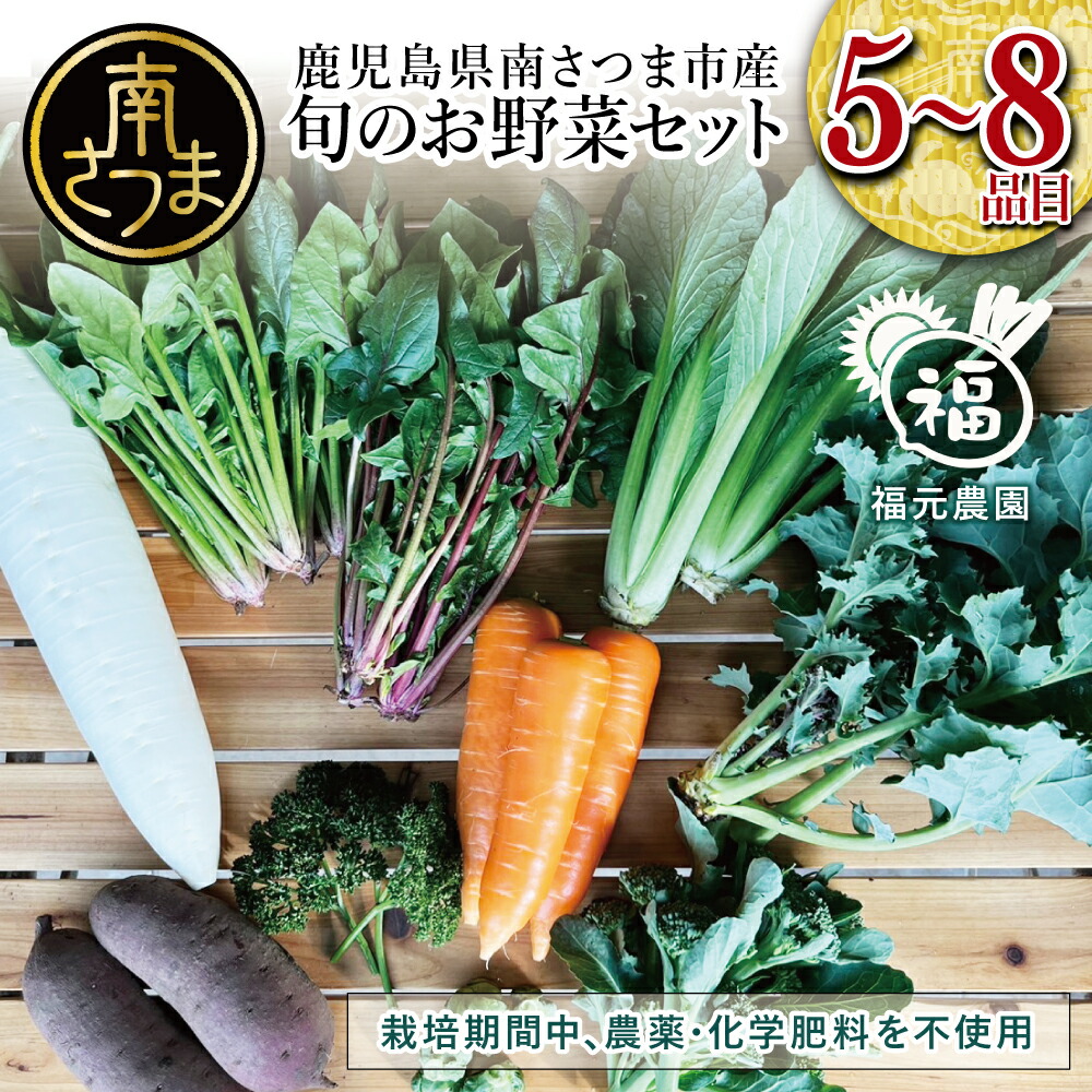 【ふるさと納税】【鹿児島県南さつま市産】福元農園 旬のお野菜 おまかせセット 1箱（5～8品目） 野菜 詰め合わせ 数量限定 鹿児島 南さつま市 送料無料