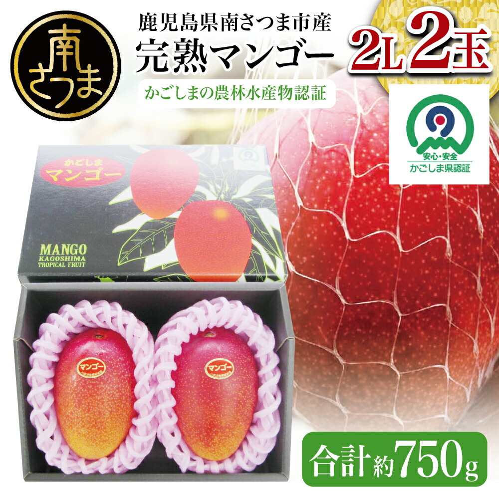 【ふるさと納税】【鹿児島県産】 完熟マンゴー 2Lサイズ 2玉（化粧箱入り）［数量・期間限定］ 国産  果物 フルーツ 旬 南さつま市 金峰町 送料無料