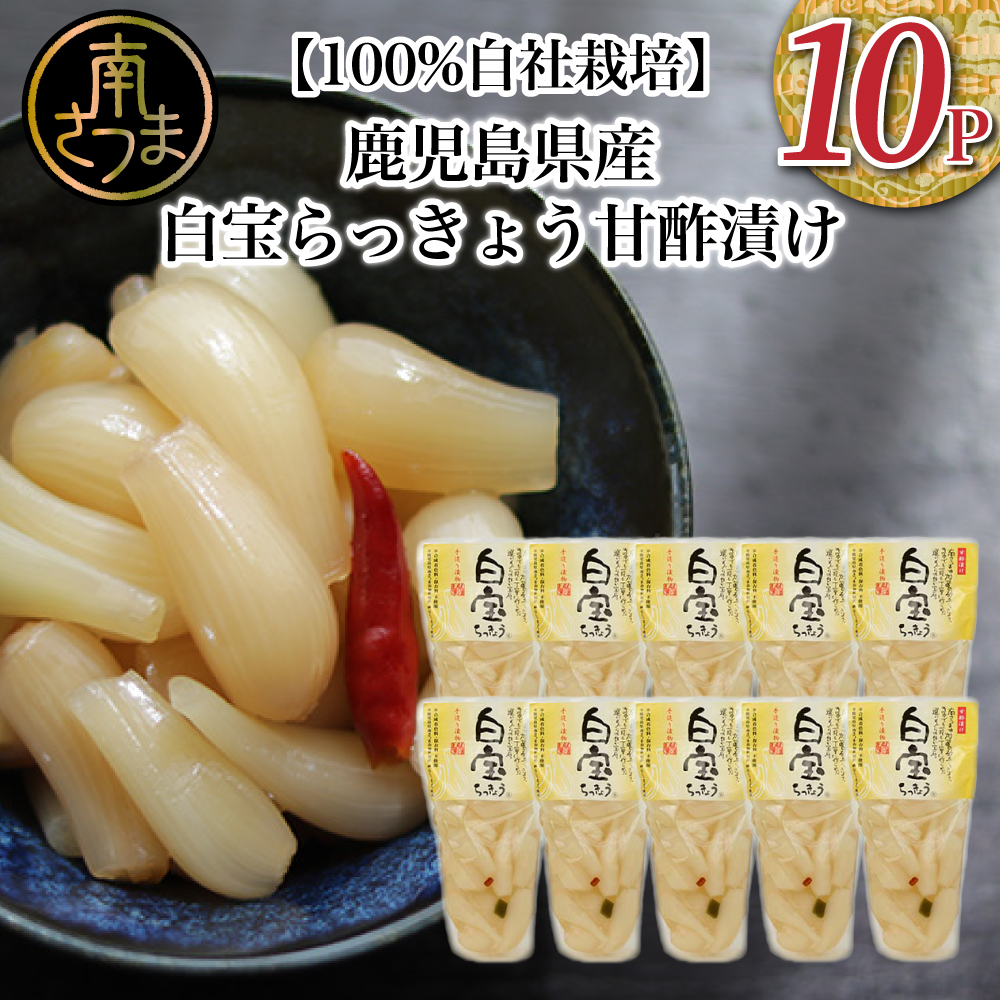 【ふるさと納税】 【鹿児島県産】白宝らっきょう（90g×10P） 手作り漬物  らっきょう お取り寄せ ギフト 贈答 常温保存 南さつま市 送料無料【2019年度 ふるさと納税 寄附額 鹿児島県1位 南さつま市】