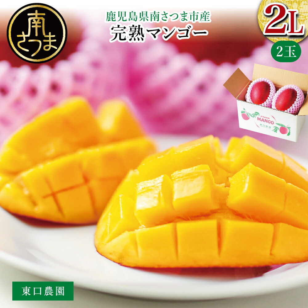 【ふるさと納税】鹿児島県産 完熟マンゴー 2L 2玉【2024年6月～順次発送】贈答品用 ギフト オリジナル白箱入り アップルマンゴー アーウィン種  果物 フルーツ 国産 鹿児島県南さつま市金峰町産 東口農園 送料無料