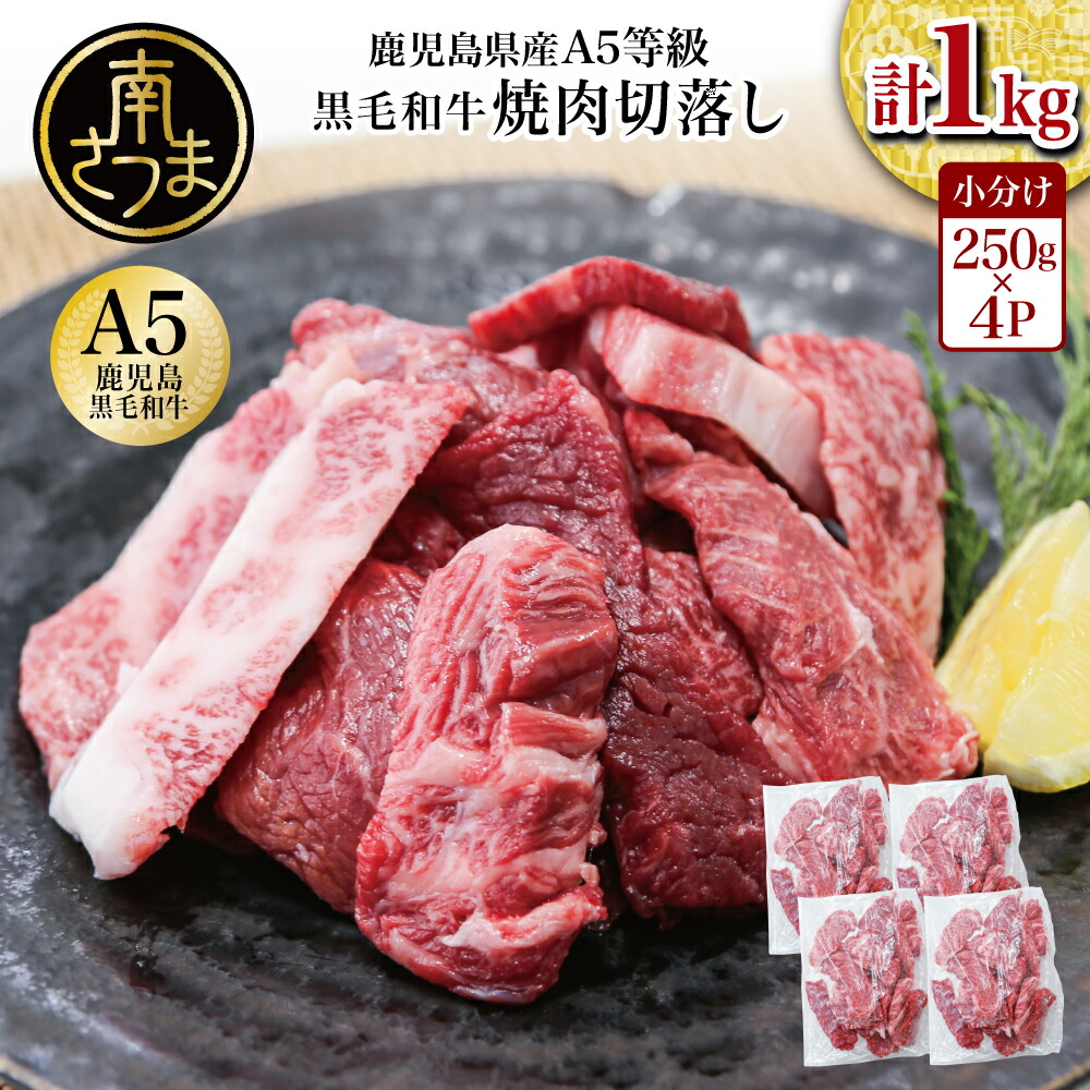 【ふるさと納税】鹿児島県産 A5等級 黒毛和牛 焼肉 切り落とし 計1kg（250g×4P）国産牛 牛肉 和牛 国産 焼き肉 切落し おまかせ サイズ不揃い BBQ バーベキュー 小分けパック 冷凍 カミチク 南さつま市
