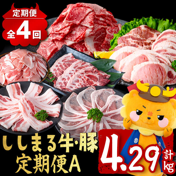 【ふるさと納税】【定期便全4回】ししまる牛・豚定期便A(4ヶ月連続・計4.29kg) 黒毛和牛 黒豚 国産牛 九州産 豚 豚肉 肉 牛肉 国産 小分け 真空包装 冷凍【サンキョーミート】t0044-007
