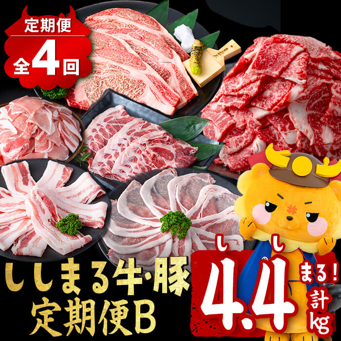 【ふるさと納税】【定期便全4回】ししまる牛・豚定期便B(4ヶ月連続・計4.4kg) 黒毛和牛 国産牛 九州産 豚 豚肉 肉 牛肉 国産 4等級 小分け 真空包装 冷凍【サンキョーミート】t0051-002 33,150円