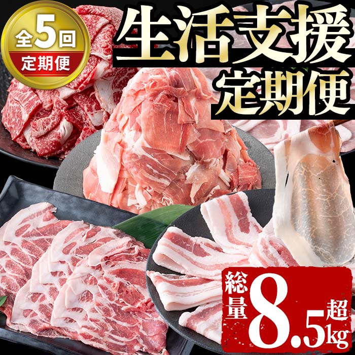 【ふるさと納税】【定期便全5回】生活支援定期便(5ヶ月連続・総量8.5kg以上) 国産牛 九州産 豚 豚肉 肉 牛肉 国産 しゃぶしゃぶ 豚バラ 黒毛和牛 切り落し 大容量 人気 小分け 真空包装【サンキョーミート】t0066-008