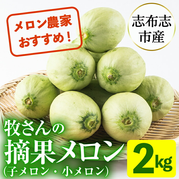 【ふるさと納税】＜先行予約受付中！R7年5月～6月末頃配送予定＞知っている人は知っている！秘蔵っ娘メロンの副産物「摘果メロン」2kg！（子メロン・小メロン）お漬物・刺身のツマ・サラダなど活用方法イロイロ♪【ファームランド牧】a0-330