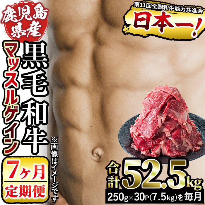 新作モデル 楽天市場 ふるさと納税 定期便 7ヶ月 和牛日本一 鹿児島県産黒毛和牛赤身肉でマッスルゲインコース 牛肉250g 30日分を7か月間お届け 牛肉7 5kg 7か月で合計52 5kg ヘルシーな牛モモスライスで健康的な 筋肉を育みましょう ナンチク T100