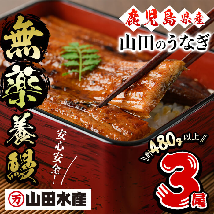 【ふるさと納税】【無薬養鰻】 鹿児島産 山田のうなぎ ＜計480g以上＞（160g以上×3尾） うなぎ 鰻 ウナギ 無薬 養鰻 無投薬 3尾 国産 九州産 蒲焼き かばやき 冷凍 うな重 ひつまぶし タレ 山椒 ランキング 人気【山田水産】a8-074