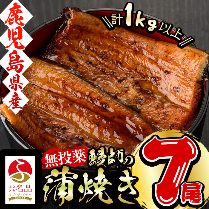 鹿児島県産 山田水産 鰻 蒲焼 1kg