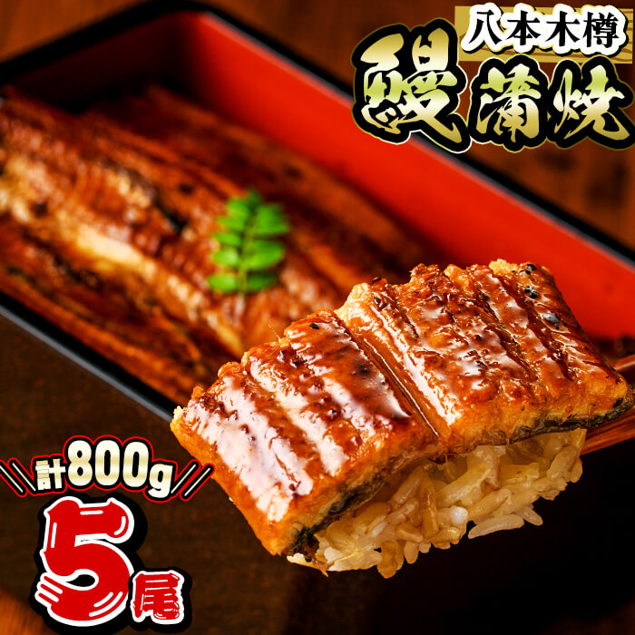 【ふるさと納税】【高評価★4.81】 国産 八本木樽鰻の蒲焼(160g以上×5尾)うなぎ 鰻 ウナギ 5尾 国産 九州産 蒲焼き かばやき 冷凍 うな丼 うな重 ひつまぶし タレ 山椒 ランキング 人気【山田水産】c0-118