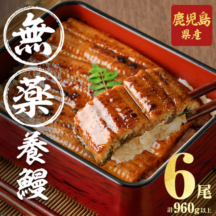 楽天市場】【ふるさと納税】【無薬養鰻】 鹿児島産 山田のうなぎ ＜計