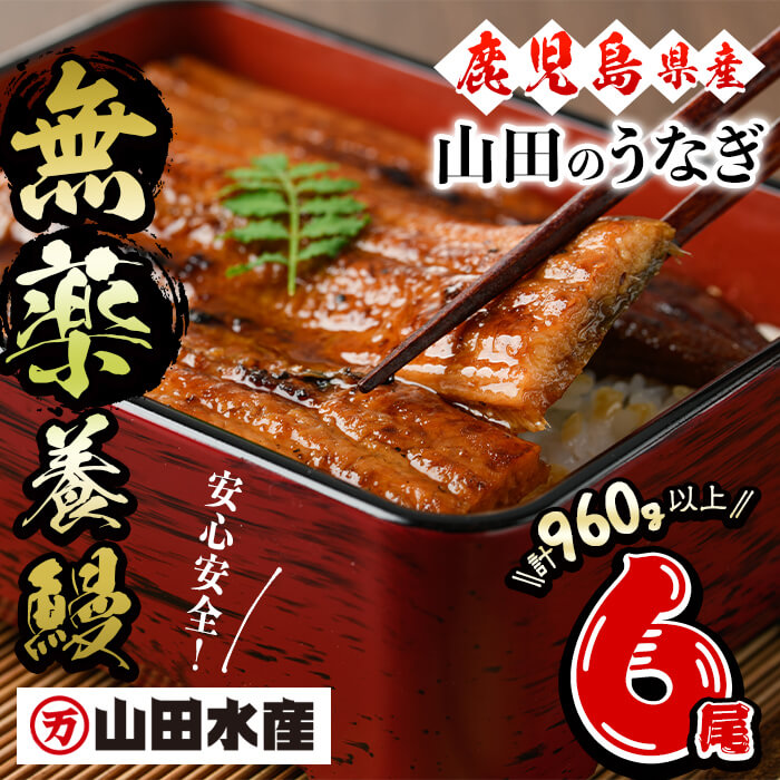 【ふるさと納税】【無薬養鰻】 鹿児島産 山田のうなぎ ＜計960g以上＞ (160g以上×6尾) うなぎ 鰻 ウナギ 無薬 養鰻 無投薬  6尾 国産 九州産 蒲焼き かばやき 冷凍 うな重 ひつまぶし タレ 山椒【山田水産】 c6-079