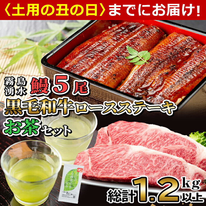 【ふるさと納税】【7/7までの入金で丑の日までにお届け】【令和7年度産新茶】贅沢セット！鹿児島県産 霧島湧水鰻5尾(1尾156g以上)×黒毛和牛ロースステーキ(200g×2)×有機栽培緑茶「夏井」(100g)(総計1.2kg以上)鹿児島県産 うなぎ 黒毛和牛【志布志市観光特産品協会】e2-003