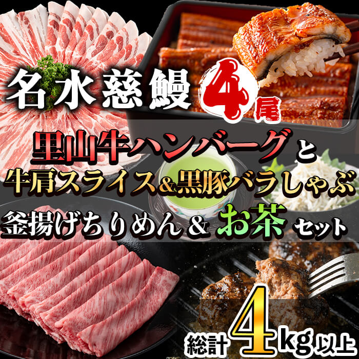 【ふるさと納税】名水慈鰻4尾と牛肩スライス＆黒豚バラしゃぶ＆釜揚げちりめん＆里山牛ハンバーグ＆お茶セット 総計4kg超！ うなぎ 鰻 蒲焼 真空 牛肉 豚肉 黒豚 ハンバーグ ちりめん 緑茶【志布志市観光特産品協会】wa0-003