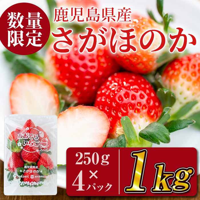 250g 4パック フルーツ 果物 特産品 合計1kg 果汁が多いジューシーイチゴ 酸味少なめ ふるさと納税 いちご ケーキやジャム等お菓子 フルーツ紅茶にも Jaあおぞら 250g 4パック 数量限定 鹿児島県産さがほのか いちご ふるさと納税 甘さすっきり 香りの強い苺