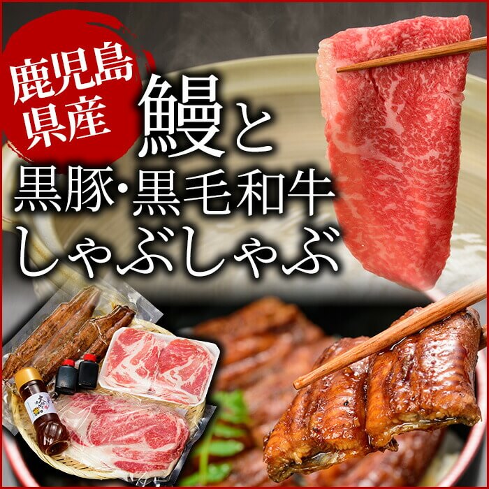 あす楽対応】 鹿児島自慢3点セット うなぎ蒲焼 黒毛和牛しゃぶ肉 黒豚しゃぶ肉 合計約1.1kg  志布志の良質な国産うなぎを創業20年の秘伝たれで4回焼き 黒毛和牛リブロース黒豚ロースでしゃぶしゃぶ 旨みを引き出す大根ポン酢付きe0-023 