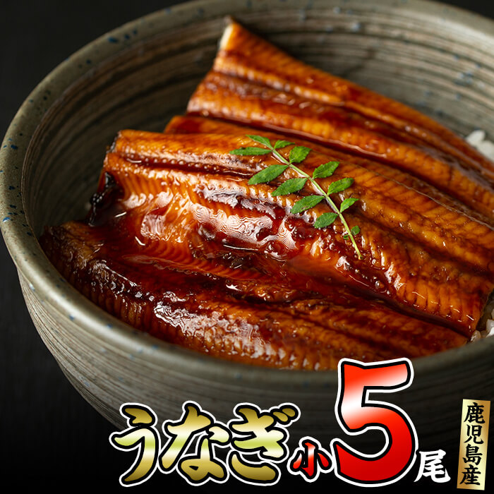 鹿児島県大隅産くすだ屋の極上うなぎ(小)5尾<計600g>国産ウナギのかば焼き真空パック!鰻丼、鰻重、ひつまぶしに!お子様やご年配の方にも!b0-128