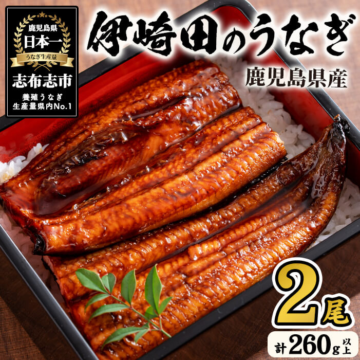【ふるさと納税】【数量限定】鹿児島県産 伊崎田のうなぎ蒲焼 ＜130g以上＞× 2尾(計260g以上) 鰻 うなぎ ウナギ 蒲焼き 2尾 国産 九州産 鹿児島県産 冷凍 おつまみ 鰻重 うな丼【伊崎田養魚場】a4-082