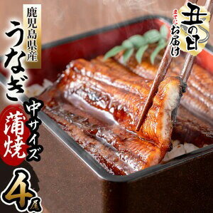 【ふるさと納税】【7/7までの入金で丑の日までにお届け】鹿児島県産 伊崎田のうなぎ蒲焼 中＜150g以上＞× 4尾(計600g以上) 臭みが少なくふっくら旨い国産ウナギを香ばしく焼き上げ!鰻生産量日本一の鹿児島の鰻の無頭蒲焼 鰻重 うな丼 ひつまぶし【伊崎田養魚場】b7-020