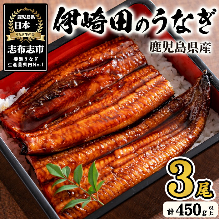 【ふるさと納税】【数量限定】鹿児島県産 伊崎田のうなぎ蒲焼 中＜150g以上＞&times; 3尾(計450g以上) 鰻 うなぎ ウナギ 蒲焼き 3尾 国産 九州産 鹿児島県産 冷凍 おつまみ 鰻重 うな丼【伊崎田養魚場】b1-020｜鹿児島県志布志市