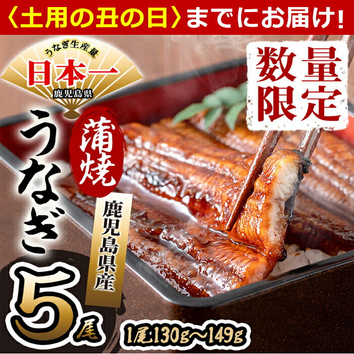【ふるさと納税】【7/7までの入金で丑の日までにお届け】【数量限定】鹿児島県産 伊崎田のうなぎ蒲焼 1尾＜130g以上＞× 5尾(計650g以上) 臭みが少なくふっくら旨い国産鰻を香ばしく焼き上げ! 無頭蒲焼きを鰻重、うな丼、ひつまぶしやうな茶漬けに【伊崎田養魚場】b8-033