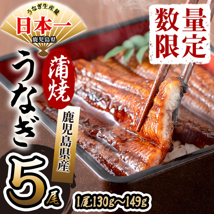 【ふるさと納税】【数量限定】鹿児島県産 伊崎田のうなぎ蒲焼 1尾<130g以上>× 5尾(計650g以上) 臭みが少なくふっくら旨い国産鰻を香ばしく焼き上げ! 無頭蒲焼きを鰻重、うな丼、ひつまぶしやうな茶漬けに【伊崎田養魚場】b8-033
