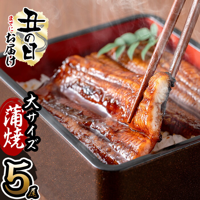 【ふるさと納税】【7/7までの入金で丑の日までにお届け】鹿児島県産 伊崎田のうなぎ蒲焼 大＜170g以上＞× 5尾(計850g以上) ふっくら旨い国産鰻を香ばしく焼き上げ!鰻生産量日本一の鹿児島のウナギ蒲焼を鰻重、うな丼、ひつまぶしで！【伊崎田養魚場】c6-081