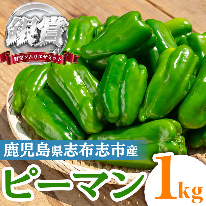 楽天市場】【ふるさと納税】志布志産ピーマン(1kg) ピーマン 野菜