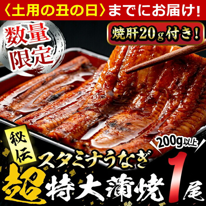 【ふるさと納税】【7/7までの入金で丑の日までにお届け】【数量限定】鹿児島県産！秘伝の特上スタミナうなぎ超特大蒲焼き1尾＜200g以上！＞焼肝20g付き！にんにく黒酢パワーで丸々太った美味しい国産鰻！うなぎ ウナギ 鰻 蒲焼き うな肝 うな丼 ひつまぶし【有明淡水】a1-101