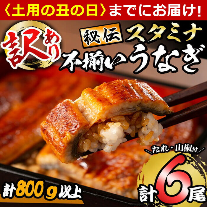 【ふるさと納税】【7/7までの入金で丑の日までにお届け】【訳あり】鹿児島県産！秘伝のスタミナうなぎ蒲焼き＜計6尾・計800g以上＞ にんにく黒酢パワーで丸々太った美味しい鰻! うなぎ ウナギ 鰻 蒲焼き スタミナ 黒酢 ニンニク 不揃い 鹿児島【有明淡水】c5-025