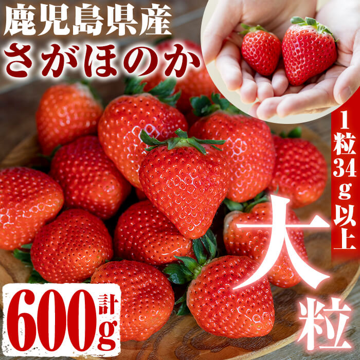 楽天市場】【ふるさと納税】数量限定！鹿児島県産いちご！愛情たっぷり