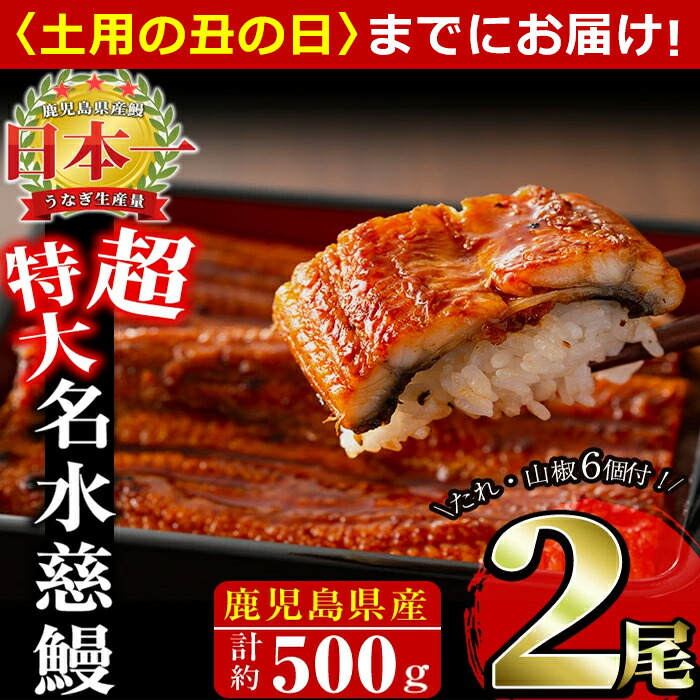【ふるさと納税】【7/7までの入金で丑の日までにお届け】【数量限定】鹿児島県産うなぎ蒲焼 名水慈鰻 超特大サイズ2尾(計約500g・1尾あたり236~270g) たれ・山椒付き うなぎ 鰻 ウナギ 超特大 2尾 かばやき うな重 ひつまぶし 冷凍 国産 鹿児島 志布志【鹿児島鰻】a6-059